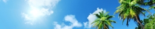 CNBZ_首页_选购通栏_右_313-80