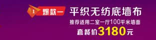 CNBZ_首页_厂商通栏_右_313-80